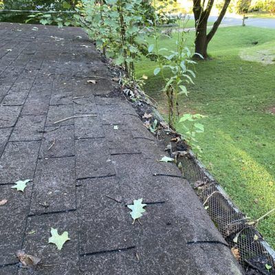 Gutter Screen Removal & Cleaning